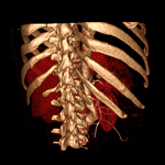 Dornheim 3D DICOM Viewer